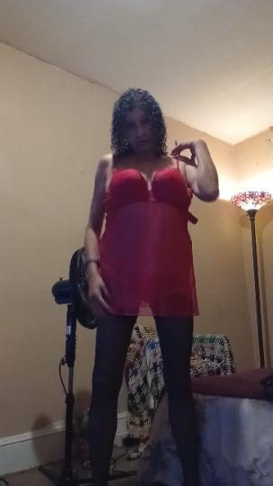 Discrete companion, 55 — Philadelphia