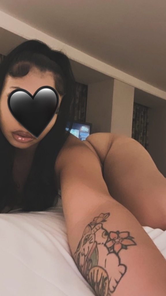 Discrete companion, 27 — Hollywood  hallandale