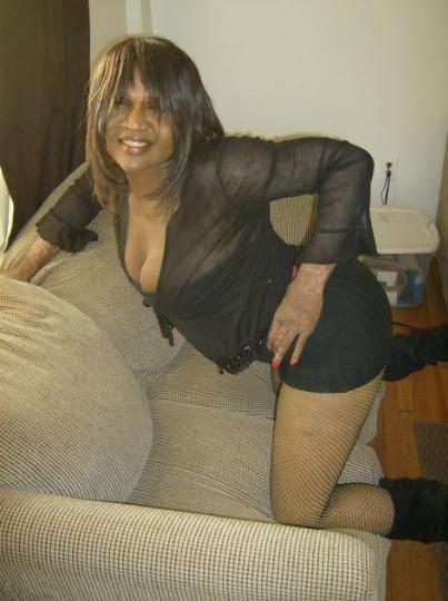 Discrete companion, 28 — Hampton area