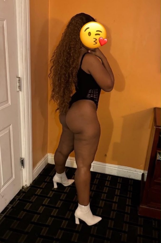 Discrete companion, 26 — Harlem  Manhattan NY